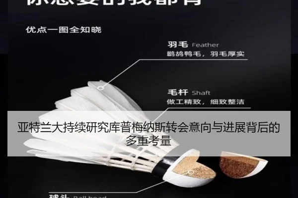 亚特兰大持续研究库普梅纳斯转会意向与进展背后的多重考量